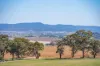 306 Moola Road, Canowindra, NSW 2804-Image