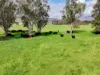 308 Allambie Road, Edgeroi, NSW 2390