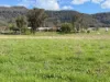 308 Allambie Road, Edgeroi, NSW 2390-Image
