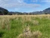 308 Allambie Road, Edgeroi, NSW 2390-Image