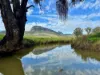 308 Allambie Road, Edgeroi, NSW 2390-Image