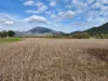 308 Allambie Road, Edgeroi, NSW 2390-Image