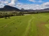 308 Allambie Road, Edgeroi, NSW 2390-Image