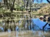 308 Allambie Road, Edgeroi, NSW 2390-Image