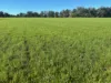 308 Allambie Road, Edgeroi, NSW 2390-Image
