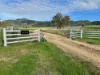 308 Allambie Road, Edgeroi, NSW 2390-Image