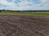 308 Allambie Road, Edgeroi, NSW 2390-Image