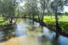 3083-3175 Riverina Highway, Albury, NSW 2640-Image