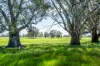 3083-3175 Riverina Highway, Albury, NSW 2640-Image