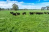 3083-3175 Riverina Highway, Albury, NSW 2640-Image