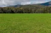 31 Greenham Road, Tallangatta Valley, Vic 3701-Image