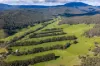 31 Greenham Road, Tallangatta Valley, Vic 3701-Image