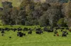 31 Greenham Road, Tallangatta Valley, Vic 3701-Image