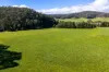 31 Greenham Road, Tallangatta Valley, Vic 3701-Image