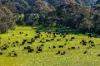 31 Greenham Road, Tallangatta Valley, Vic 3701-Image