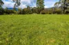 31 Greenham Road, Tallangatta Valley, Vic 3701-Image
