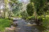 31 Greenham Road, Tallangatta Valley, Vic 3701-Image