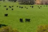 31 Greenham Road, Tallangatta Valley, Vic 3701-Image