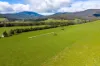 31 Greenham Road, Tallangatta Valley, Vic 3701-Image