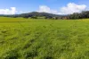 31 Greenham Road, Tallangatta Valley, Vic 3701-Image