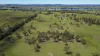 31 Leesons Lane, Southgate, NSW 2460-Image