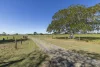 31 Leesons Lane, Southgate, NSW 2460-Image