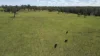 31 Leesons Lane, Southgate, NSW 2460-Image
