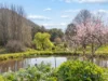 31 Spring Valley Road, Flowerdale, Vic 3717-Image