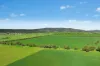 3130 Adelargo Road, Grenfell, NSW 2810