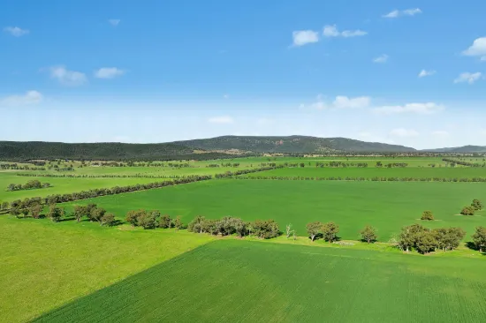 3130 Adelargo Road, Grenfell, NSW 2810