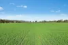 3130 Adelargo Road, Grenfell, NSW 2810-Image