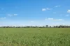 3130 Adelargo Road, Grenfell, NSW 2810-Image