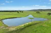 3130 Adelargo Road, Grenfell, NSW 2810-Image