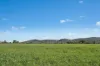 3130 Adelargo Road, Grenfell, NSW 2810-Image