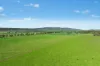 3130 Adelargo Road, Grenfell, NSW 2810-Image