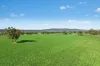 3130 Adelargo Road, Grenfell, NSW 2810-Image