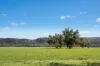 3130 Adelargo Road, Grenfell, NSW 2810-Image