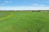 3130 Adelargo Road, Grenfell, NSW 2810-Image