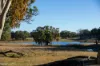 3158 Baldersleigh Road, Guyra NSW 2365-Image