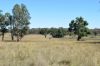 3158 Baldersleigh Road, Guyra NSW 2365-Image