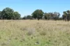3158 Baldersleigh Road, Guyra NSW 2365-Image