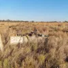 317 Yarraby Road, Nyah West, Vic 3595-Image