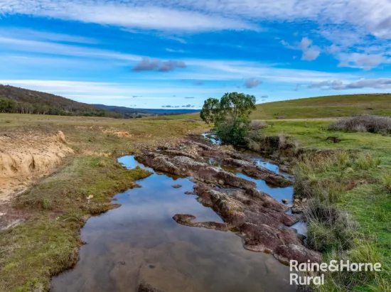 318 Holloways Road, Tarlo, NSW 2580
