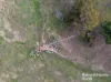 318 Holloways Road, Tarlo, NSW 2580-Image