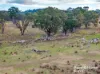 318 Holloways Road, Tarlo, NSW 2580-Image
