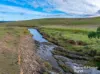 318 Holloways Road, Tarlo, NSW 2580-Image
