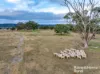 318 Holloways Road, Tarlo, NSW 2580-Image
