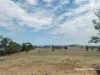3181 Bonshaw Road, Bonshaw, NSW 2361-Image