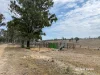 3181 Bonshaw Road, Bonshaw, NSW 2361-Image