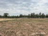 3181 Bonshaw Road, Bonshaw, NSW 2361-Image